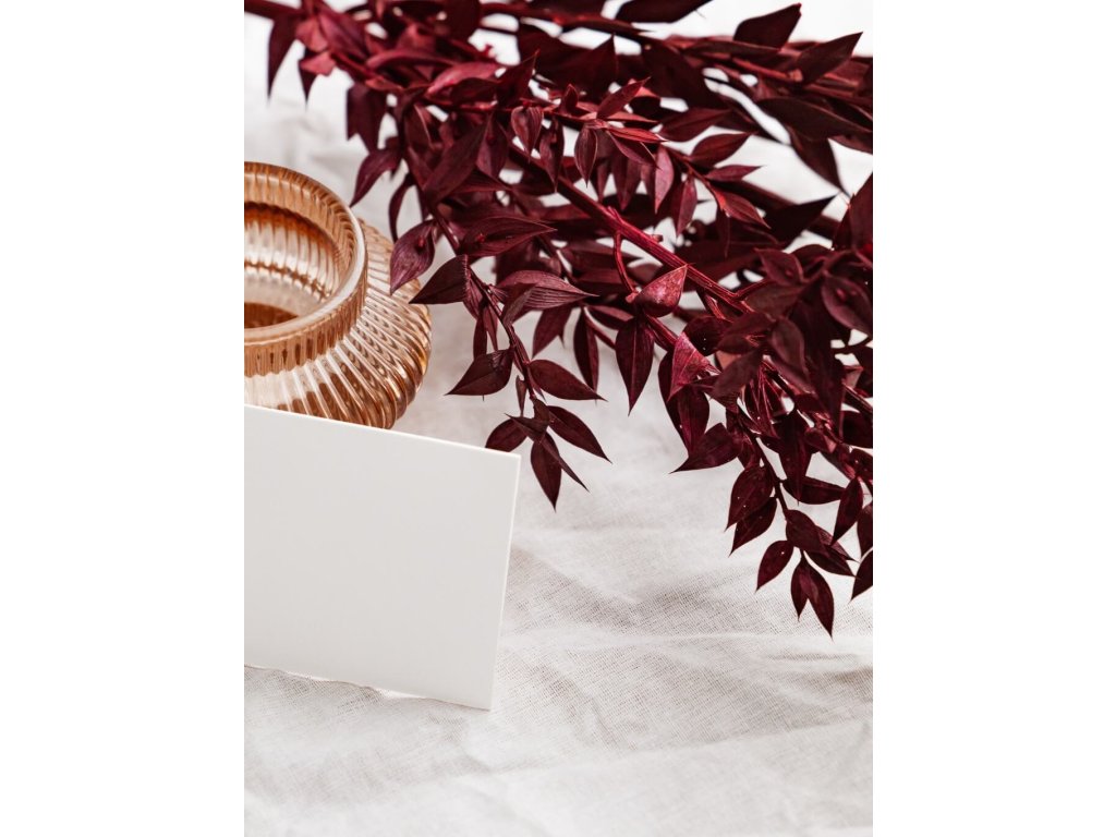 Ruscus preparovaný – bordo